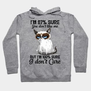 Funny Cat I'm 97 Percent Sure You Don't Like Me But I'm 100 Percent Sure I Don't Care Hoodie